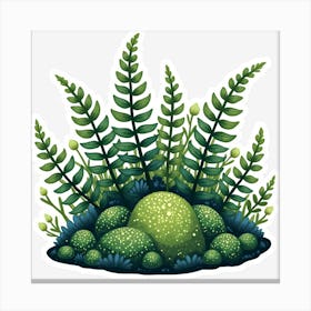 Ferns Canvas Print