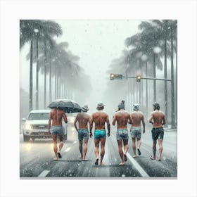 Snow In Florida Canvas Print