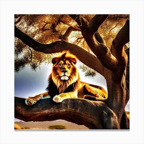 Lion In The Tree 17 Canvas Print