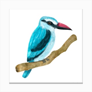 Woodland Kingfisher Canvas Print