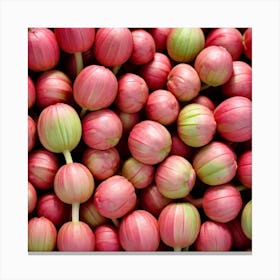 Rambutan 2 Canvas Print