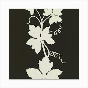 Vines And Leaves Canvas Print