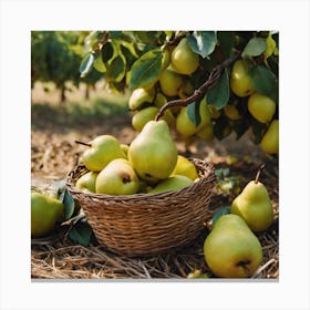 Pears In A Basket 4 Canvas Print