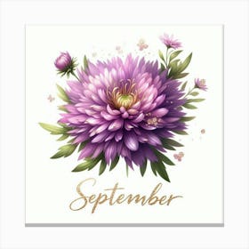 Aster - September Birth Flower Canvas Print