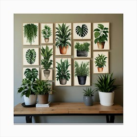 Houseplants Wall Art Canvas Print