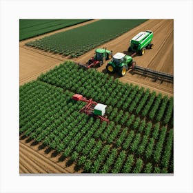 Aerial View Of A Corn Field Canvas Print