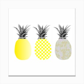 Pineapple Trio Canvas Print