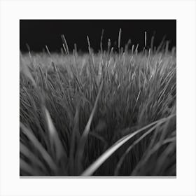 Grassy Field Canvas Print