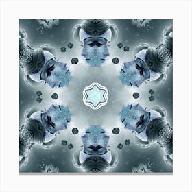 Mandala 41 Canvas Print