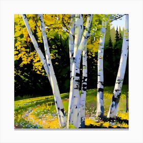 Birch Trees 1 Canvas Print