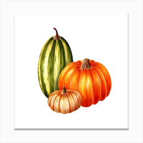 Pumpkins Isolated On White Canvas Print