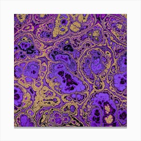 Purple And Gold Paisley Canvas Print