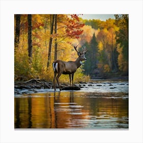 Deer By The River 1 Canvas Print