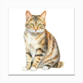 American Polydactyl Cat Portrait 3 Canvas Print
