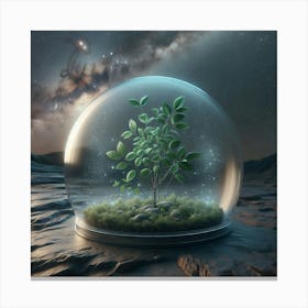 Tree In A Glass Dome Canvas Print