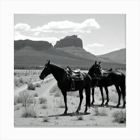 Horses In The Desert 2 Canvas Print