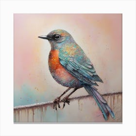 bird Robin 1 Canvas Print