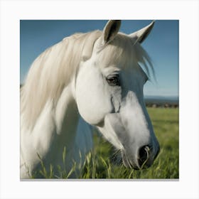 White Horse In The Grass Canvas Print