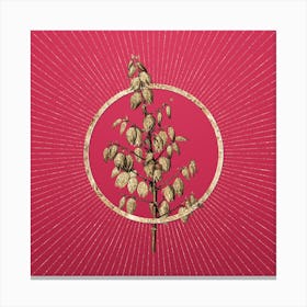 Gold Adam's Needle Glitter Ring Botanical Art on Viva Magenta Canvas Print