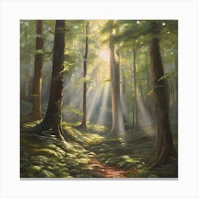 Rays Of Light In The Forest Canvas Print