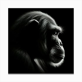 Chimpanzee Portrait 3 Canvas Print