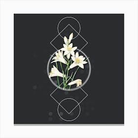 Vintage St. Bruno's Lily Botanical with Geometric Line Motif and Dot Pattern n.0351 Canvas Print