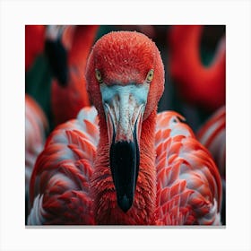 Flamingos 9 Canvas Print