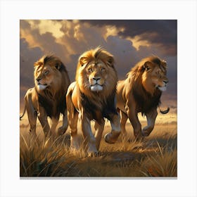 Lions 1 Canvas Print