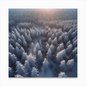Aerial View Of Snowy Forest 14 Canvas Print