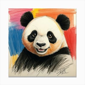 Panda Bear 42 Canvas Print