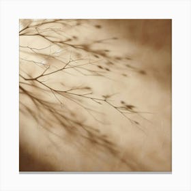 Shadow Of A Tree 4 Canvas Print