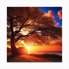 Sunset Tree 11 Canvas Print