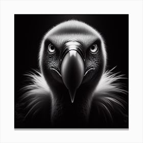 Vulture 5 Canvas Print