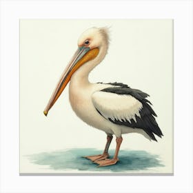 Pretty Pelican Bird Toile