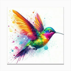 Colorful Hummingbird 1 Canvas Print