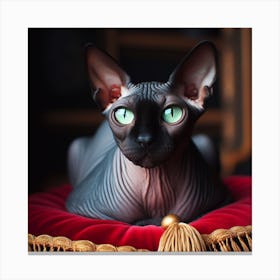 Sphinx-cat 3 Canvas Print