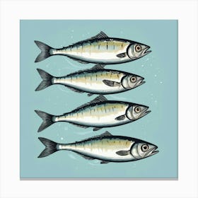 Sardines 5 Canvas Print