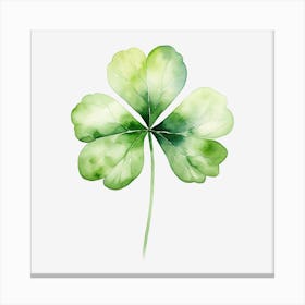 Four Leaf Clover 3 Canvas Print