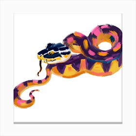 King Snake 04 Canvas Print