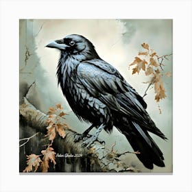 Ebony Raven By Peter Ghetu 2024 Canvas Print