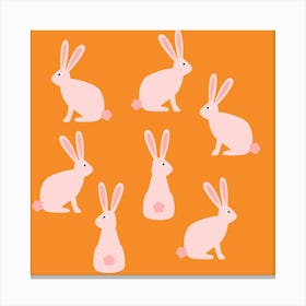 Bunnies and Rabbits Canvas Print