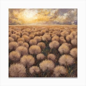 Sunset Over The Dandelion Field Canvas Print