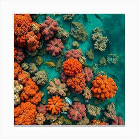 Coral Reef50 Canvas Print