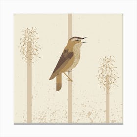Sedge Warbler Canvas Print