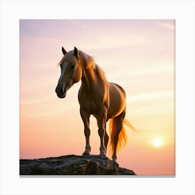 Sunset Horse 67 Canvas Print