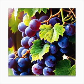 Grapes On The Vine 5 Canvas Print