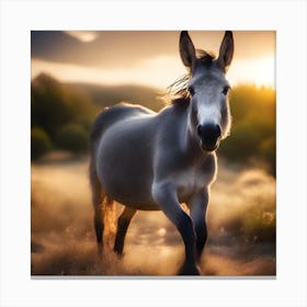 Donkey At Sunset Canvas Print