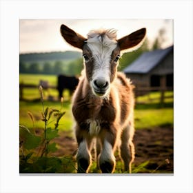 Field Domestic Agriculture Cute Nature Beautiful Rural Herd Farming Animal Farm Farm Anim (7) Canvas Print