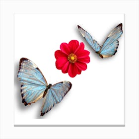Two butterfly sitting on red flower design Canvas Print
