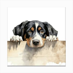 Bernese Mountain Dog 10 Canvas Print